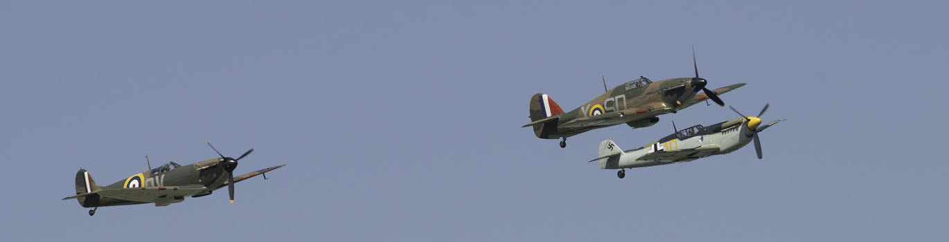 wings of freedom