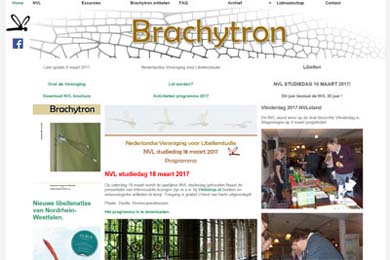 brachytron