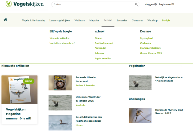 vogelskijken