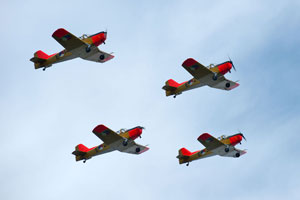 Wings of Freedom