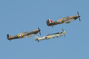 Wings of Freedom